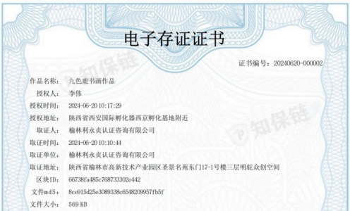 电子存证使用说明